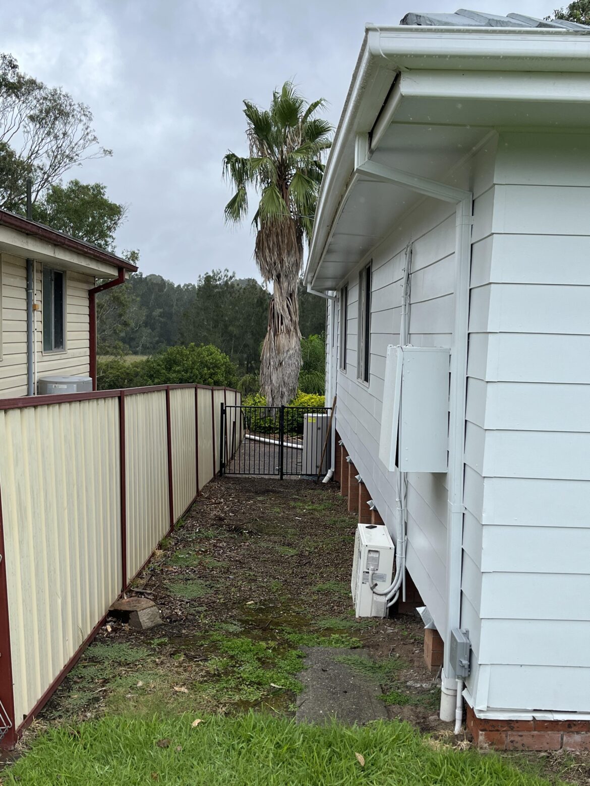 What could I plant here?