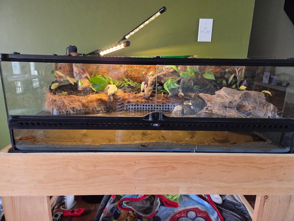 Is this enough water for shrimp? Is this enough water for shrimp?
