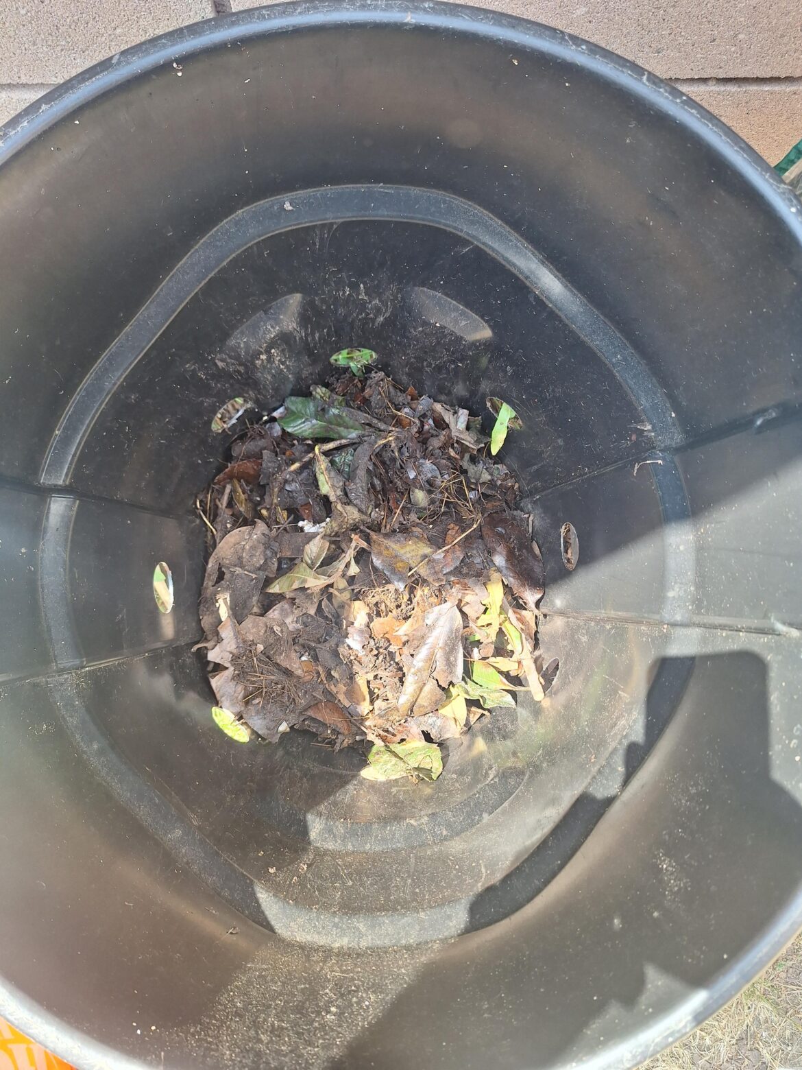 Thoughts on my compost pile? This pile is about 2 months in.
