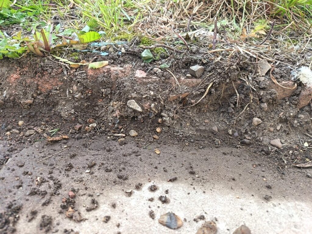 Why is my soil like this