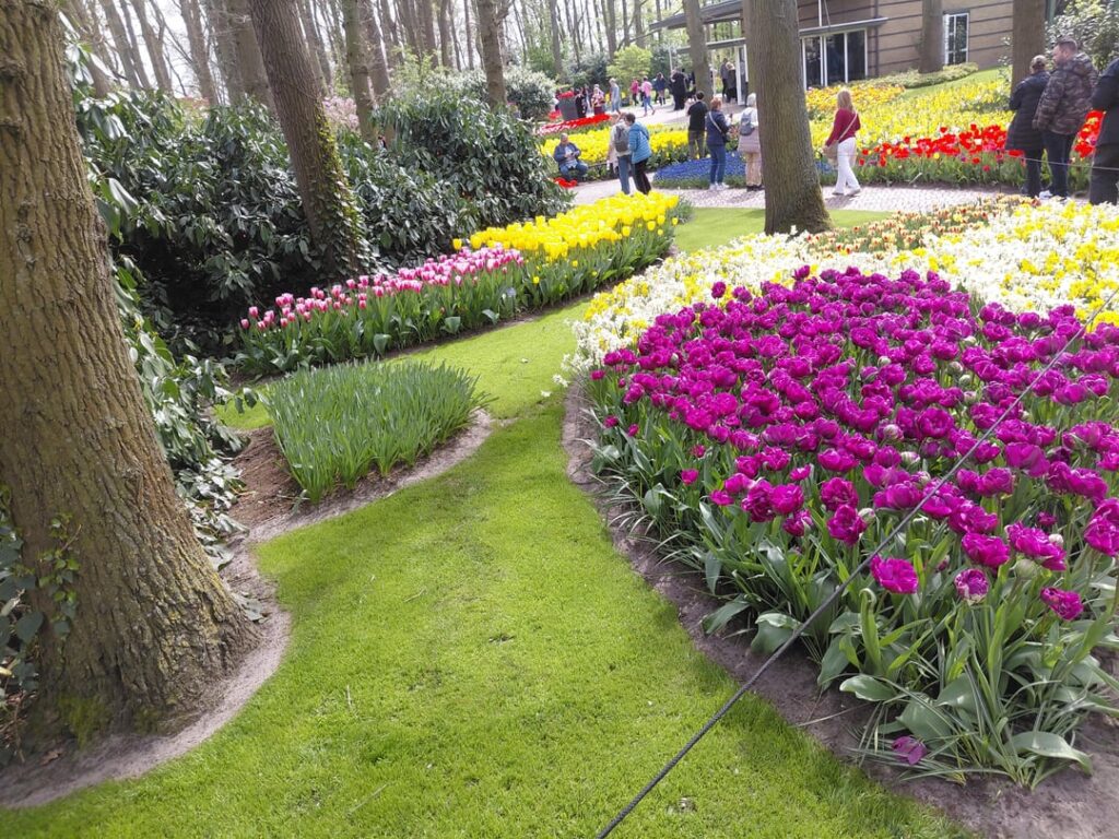 Keukenhof botanical garden, holland