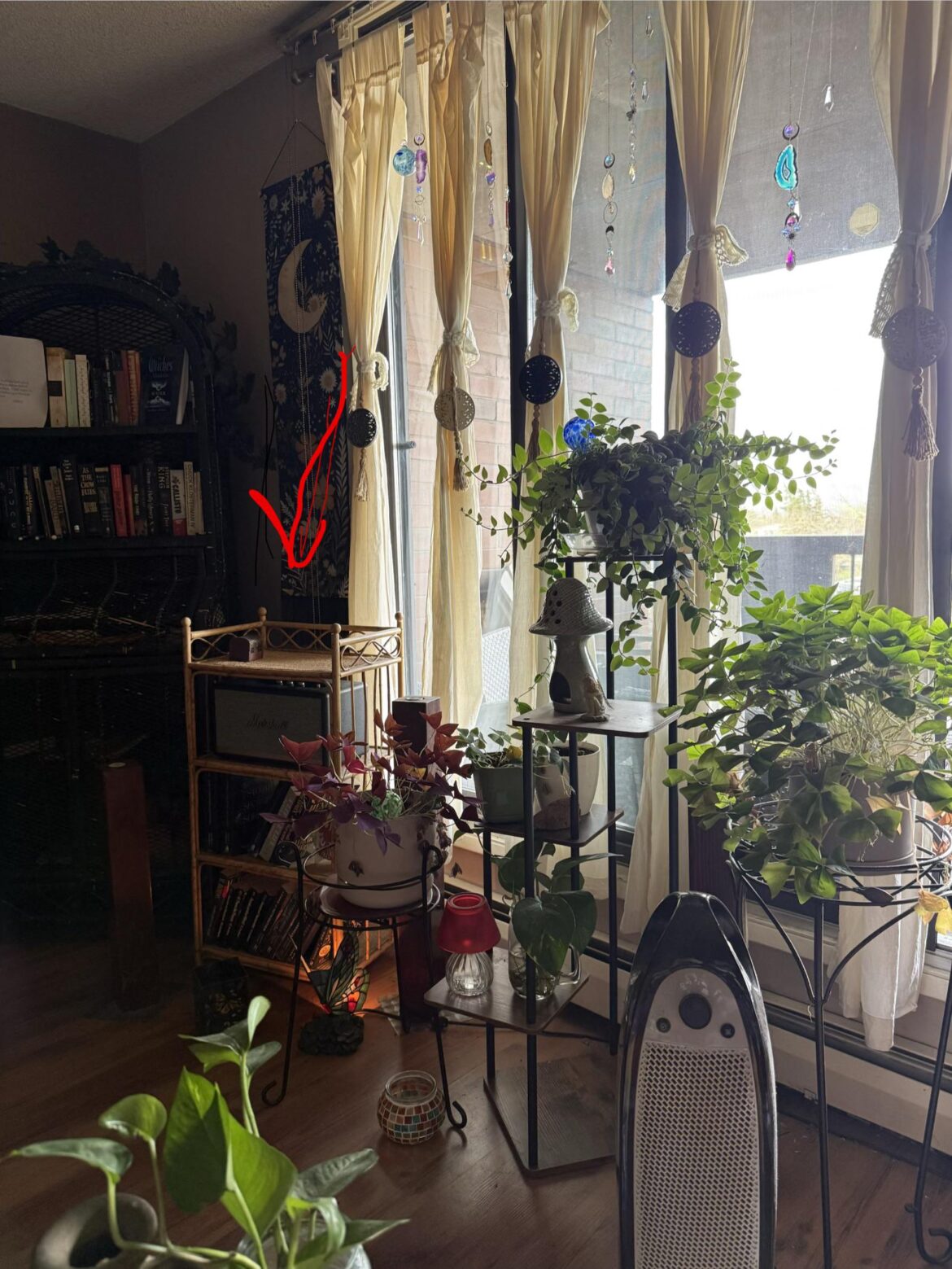 Spider Mites Question Spider Mites Question