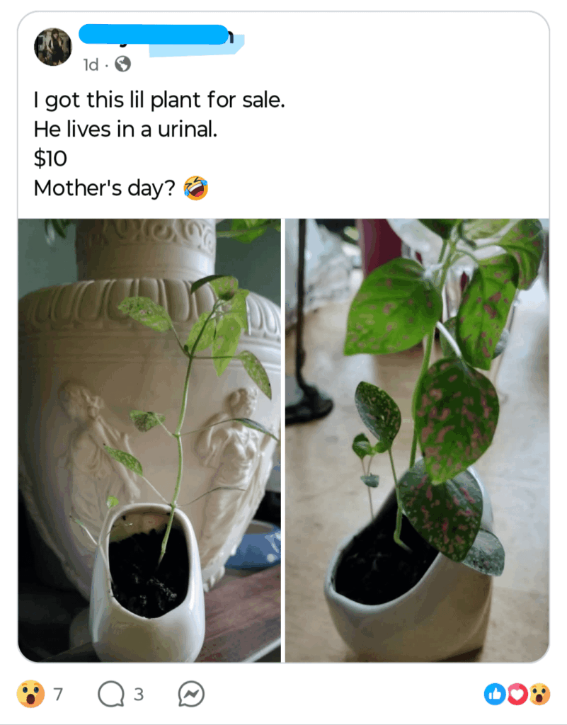 For the plant you hate the most