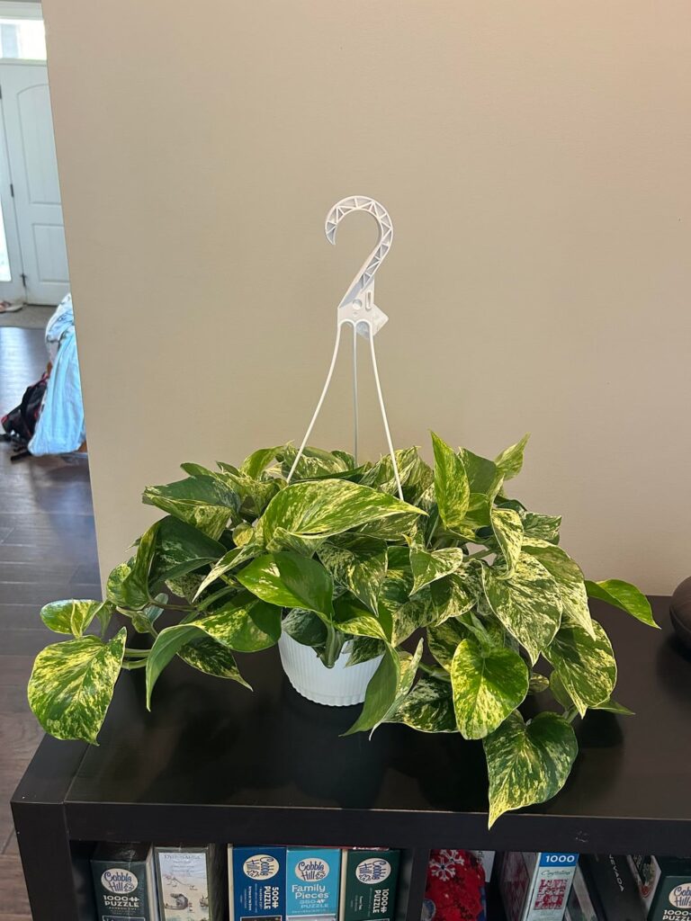 ID of this Pothos I got for my mom!