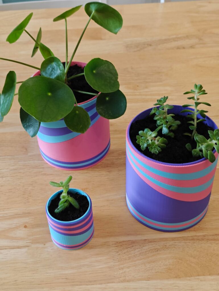 I designed a fancy 3d printed plant pot! I designed a fancy 3d printed plant pot!