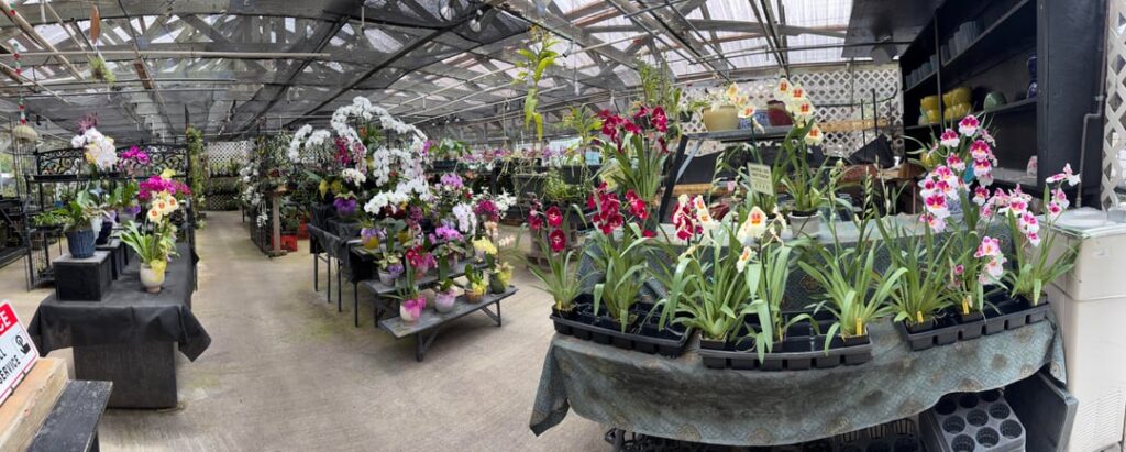 Went to a local nursery on Oahu!