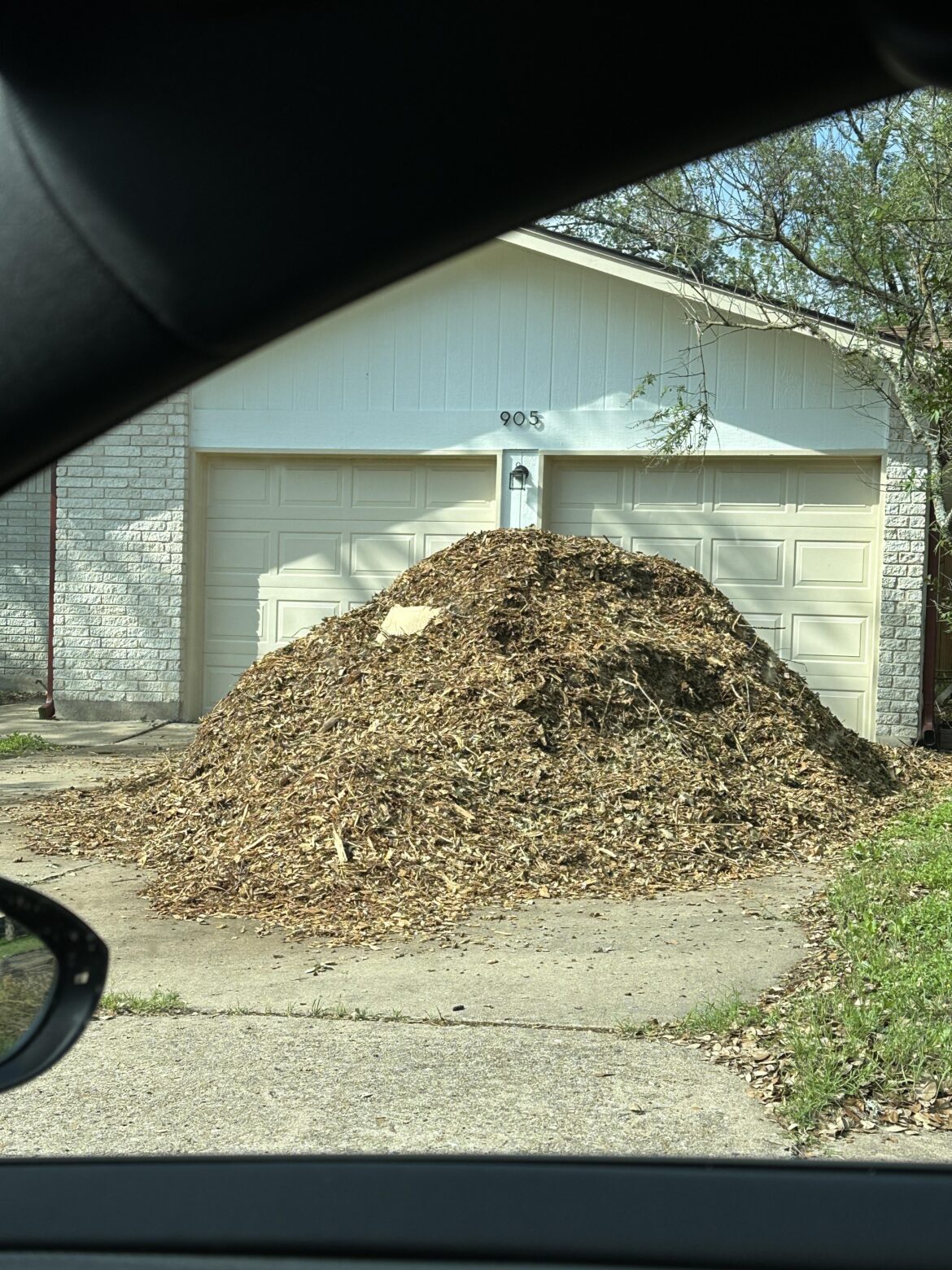 Somebody’s Free Mulch!