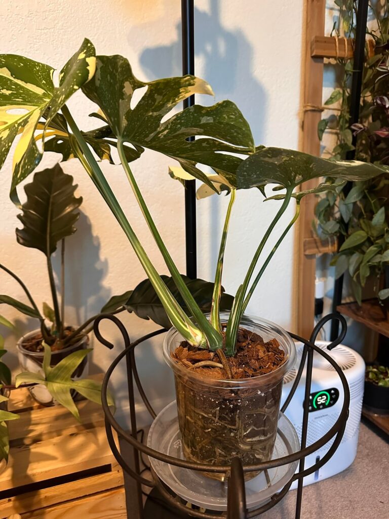 Orientation question