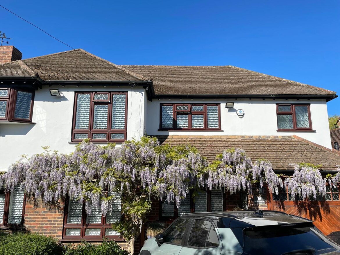 Something something wisteria