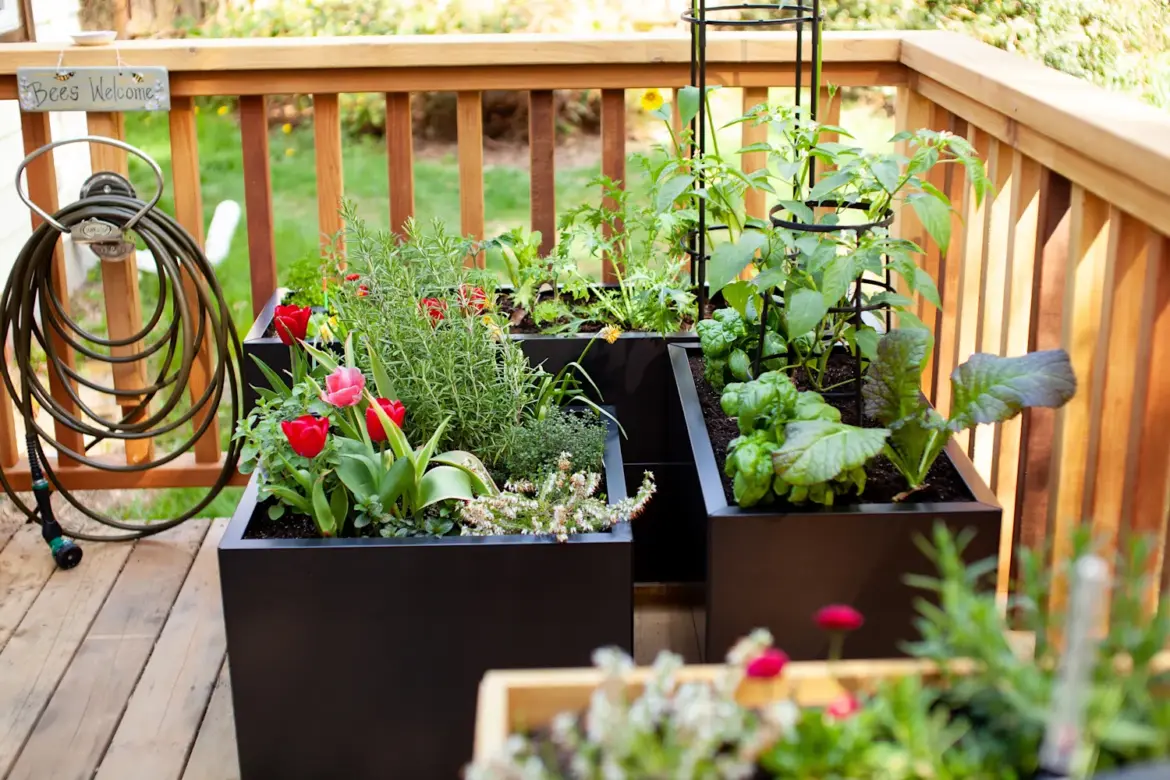 Stop Throwing Out These 3 Kitchen Scraps — Use Them to Garden Instead Stop Throwing Out These 3 Kitchen Scraps — Use Them to Garden Instead
