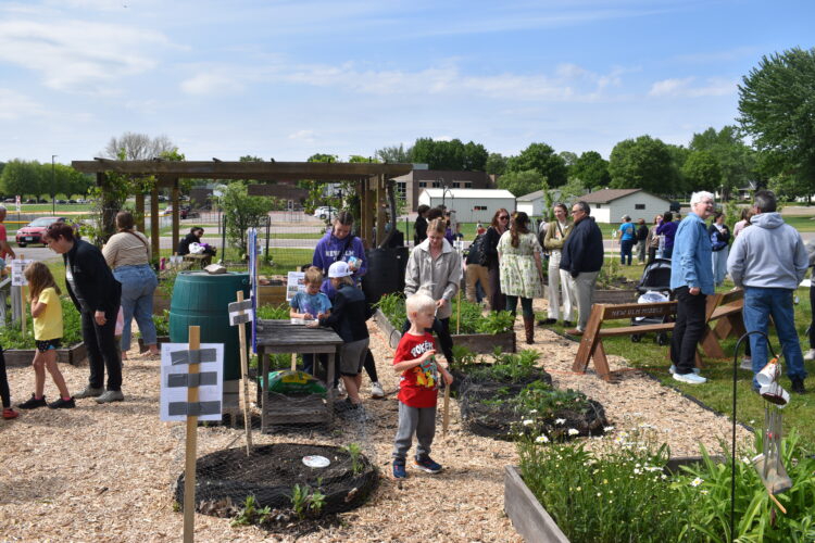 Jefferson school gardens blossoming | News, Sports, Jobs Jefferson school gardens blossoming | News, Sports, Jobs