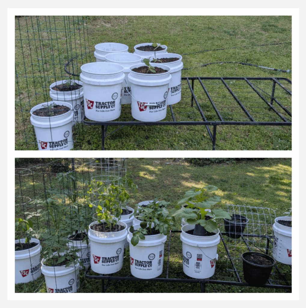 April 10th versus May 10th