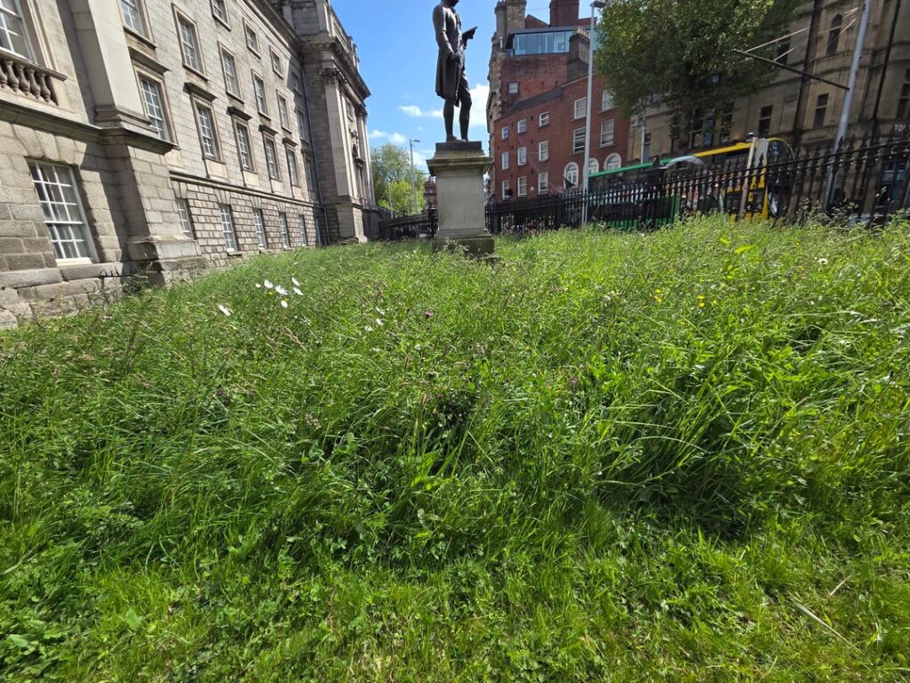 Trinity College, Dublin