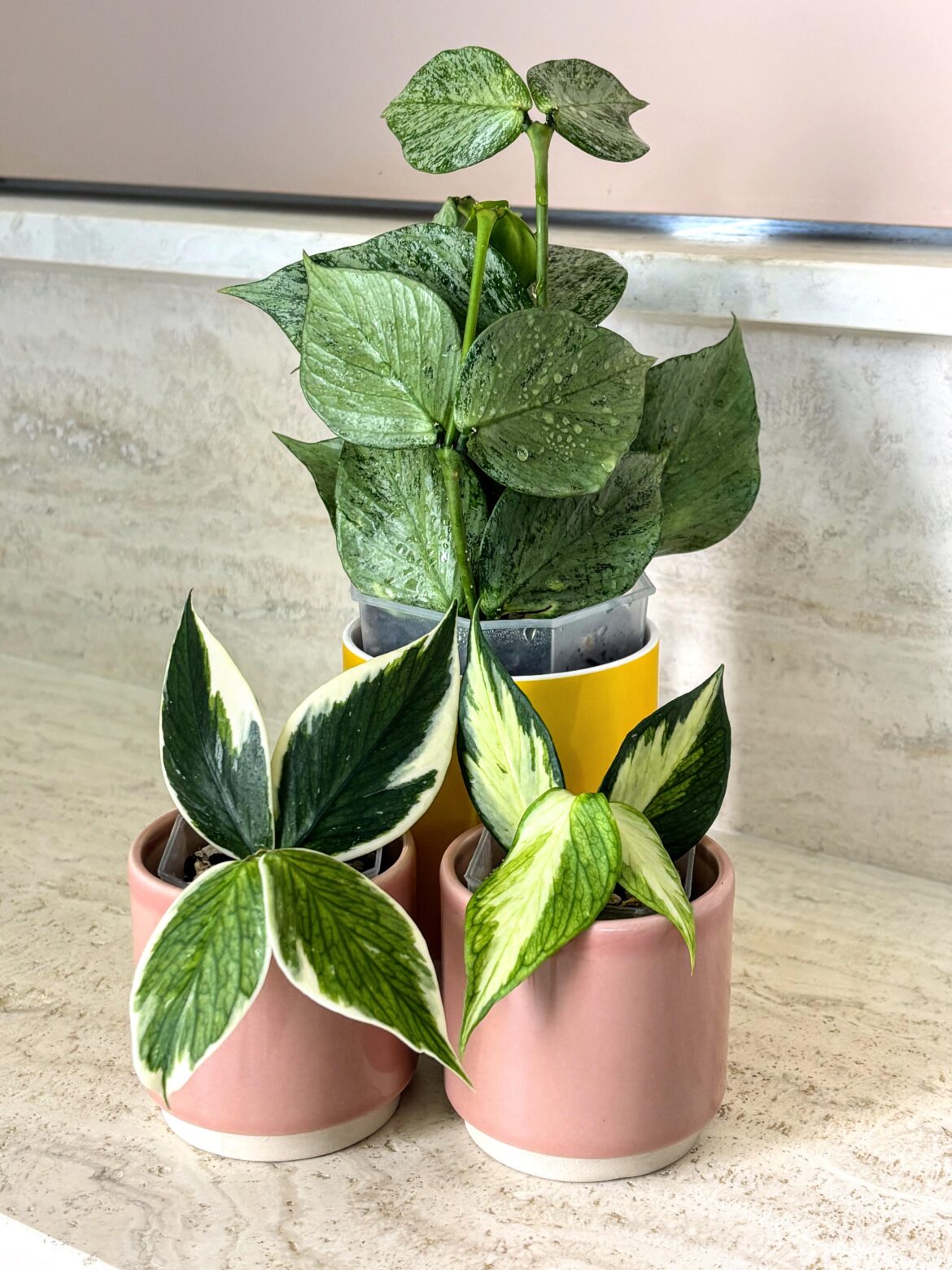 Propagation success