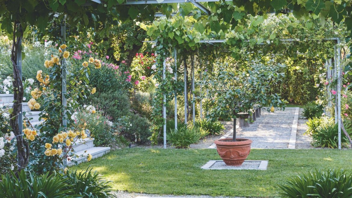 The Scotts Lawn Seed Patch & Repair Fixes Lawns Fast A bright and sunny garden with a green lawn, paved pathway, pathed staircase, and flowers growing up frames.