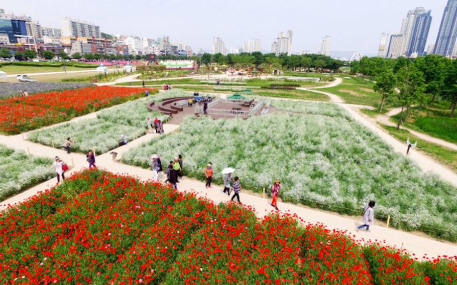 A bird’s-eye view of Taehwagang National Garden; many people walking by the red flowers and other plants in the park.
