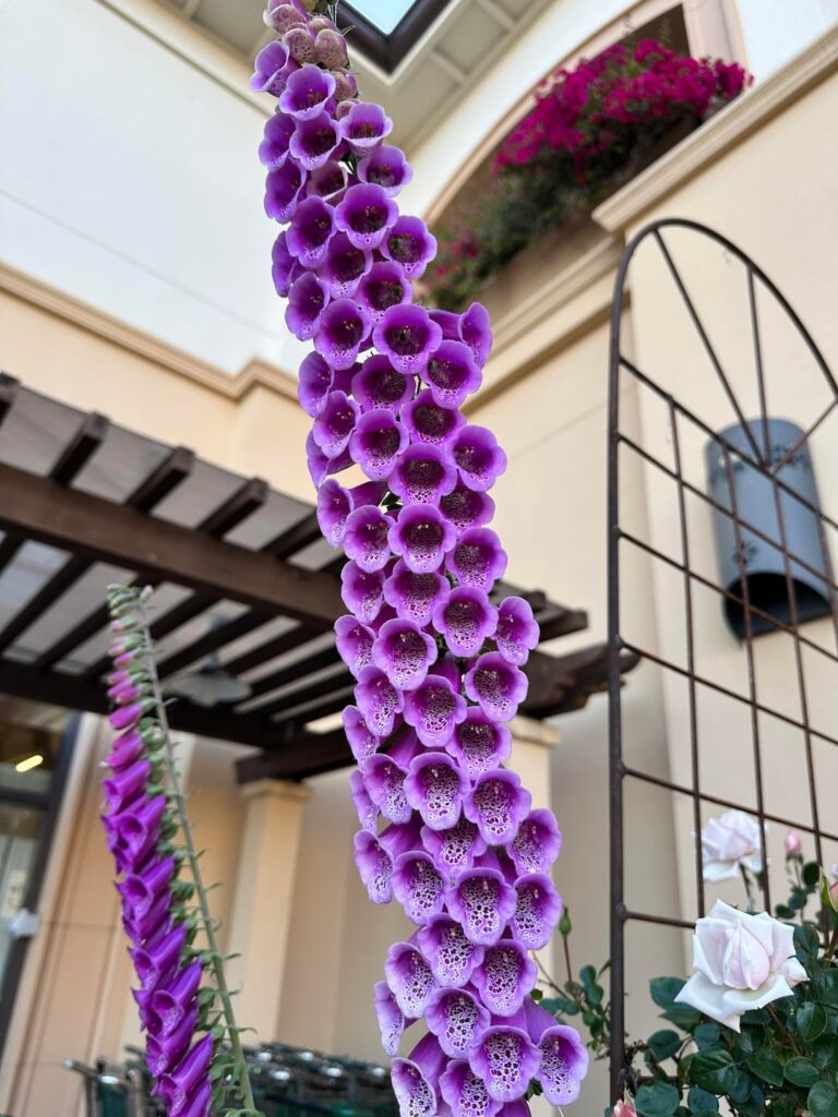 In front of Whole Foods