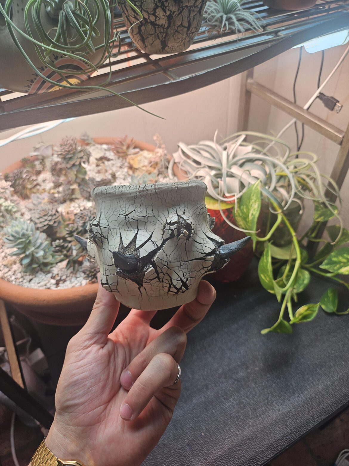 Quite possibly the coolest pot I’ve bought. Quite possibly the coolest pot I've bought.
