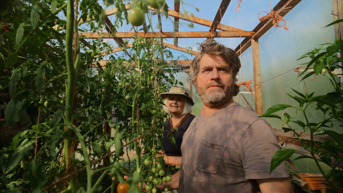 While Zach Galifianakis finds peace in gardening, I’m at war with raccoons While Zach Galifianakis finds peace in gardening, I'm at war with raccoons
