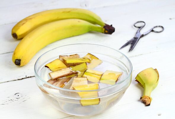 Leave it about two  days in a bowl with water, strain it and then use enriched water