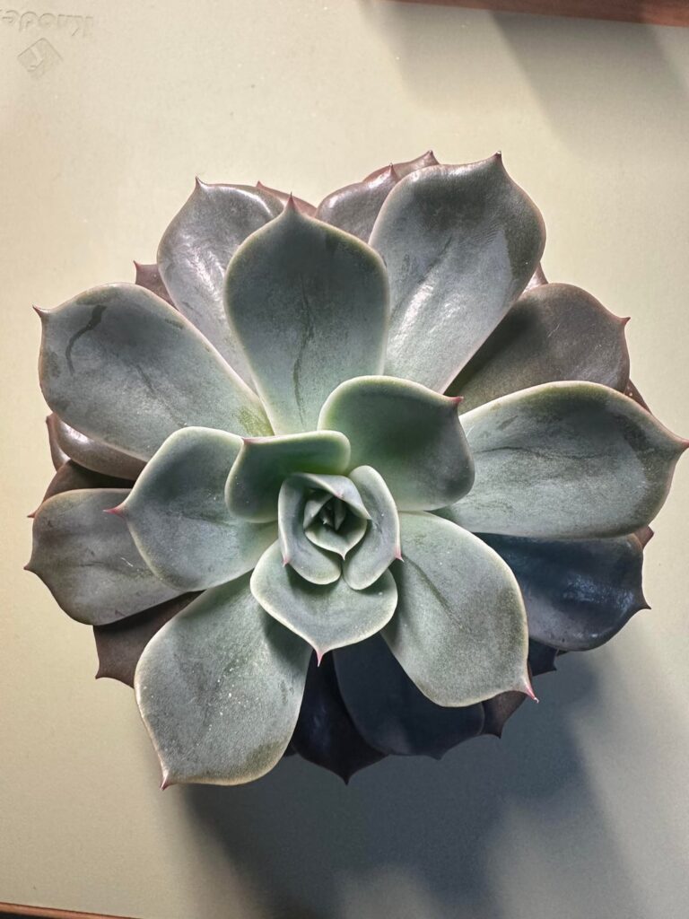 Is he doing ok? Is he doing ok?