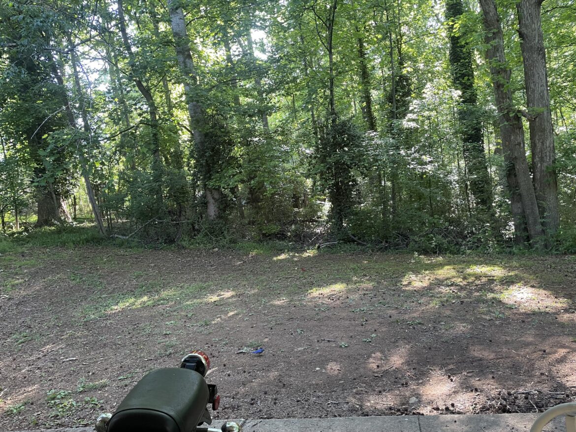 In North Georgia, US. Any recommendations for this spot?