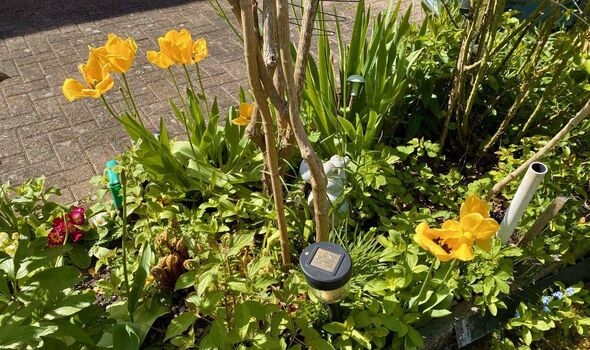 An outdoor garden scene featuring a collection of lush green foliage and vibrant yellow flowers. Among the greenery, a solar-pow