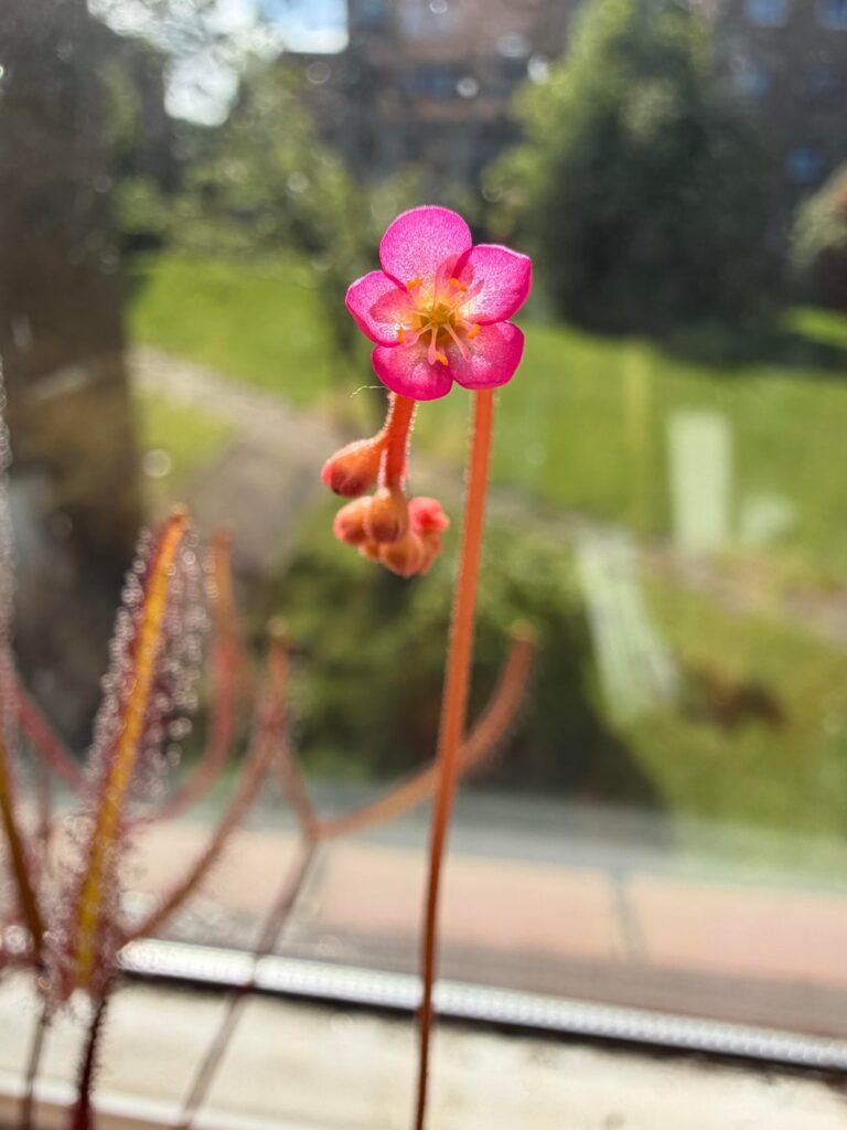 Summer is finally here (or so I’m told)