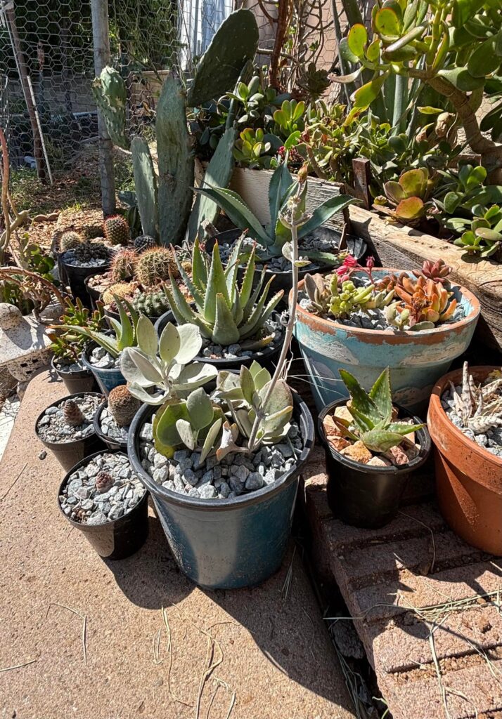 Here’s my humble collection