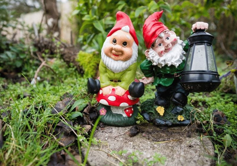 Two jolly garden gnomes on a rock