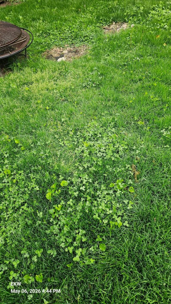 What to do with this