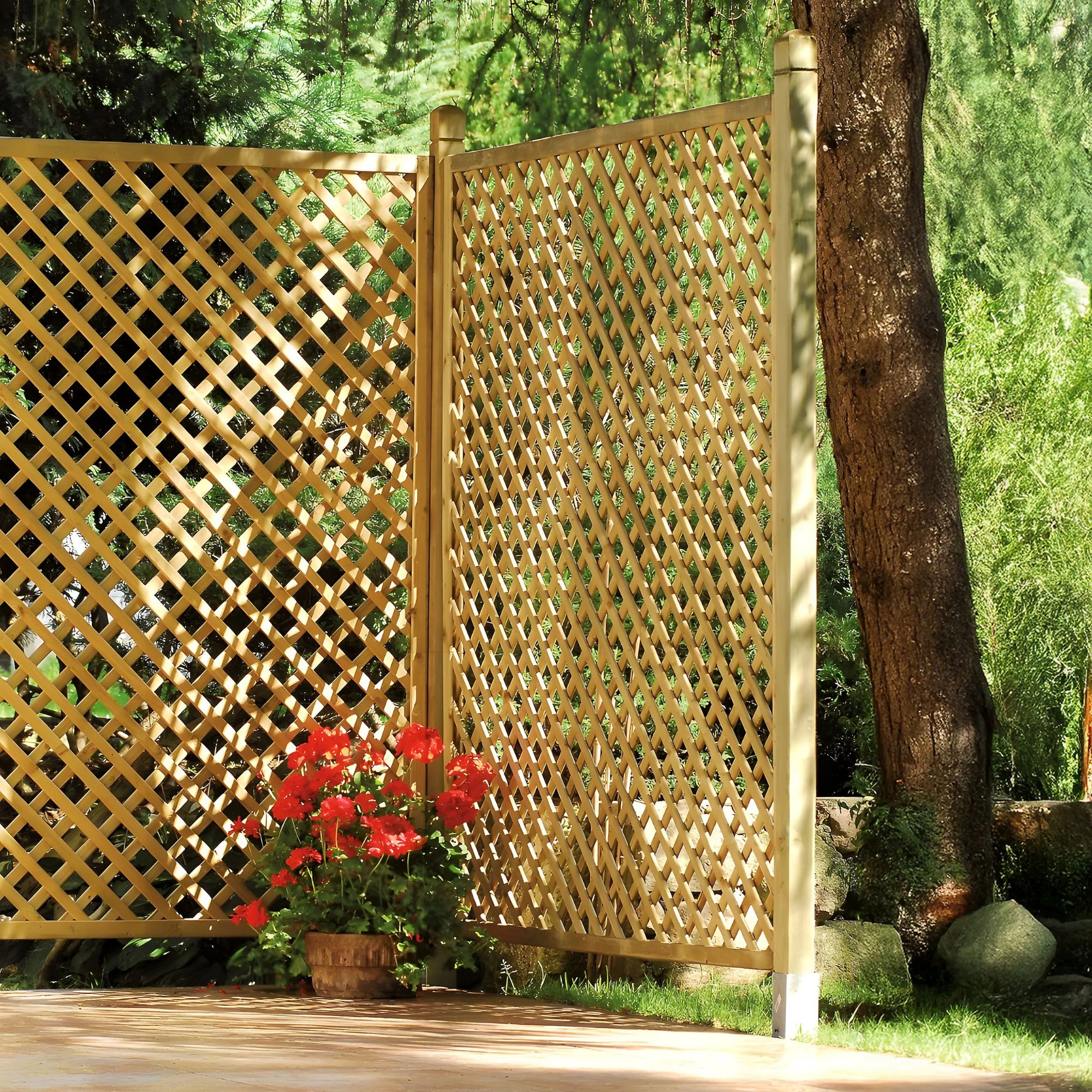 Primrose wall trellis B&amp;Q