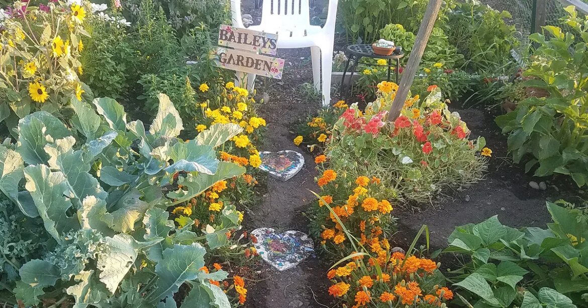 At P-Patches, communities come together over gardening