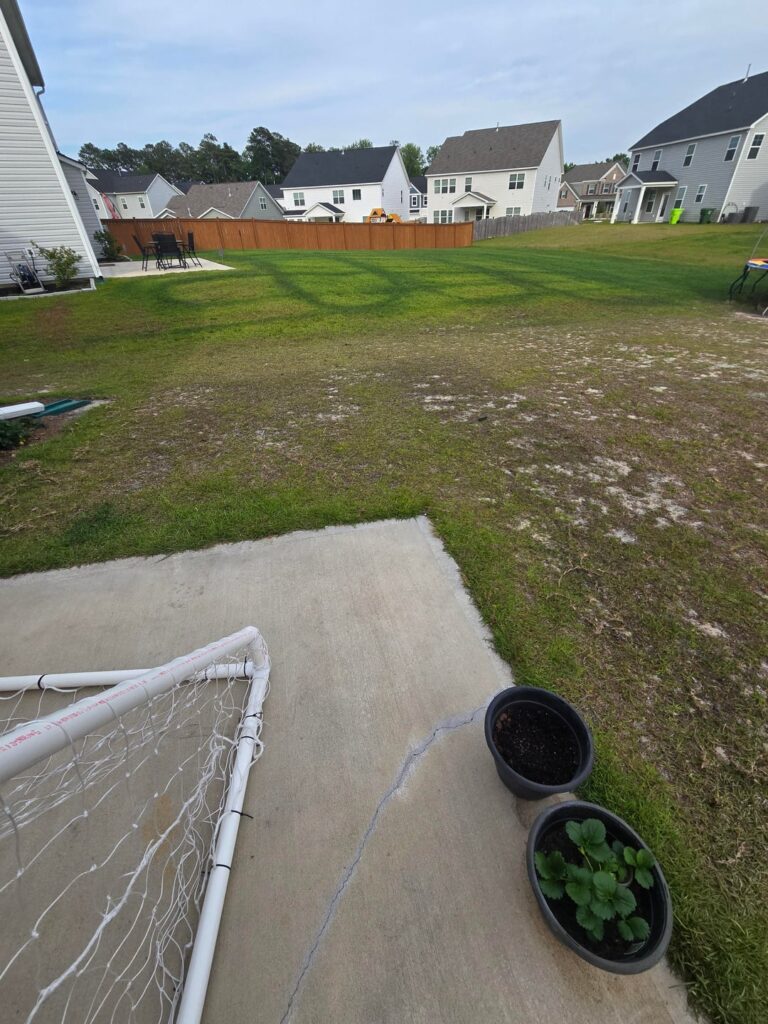 Can I salvage my backyard? Can I salvage my backyard?