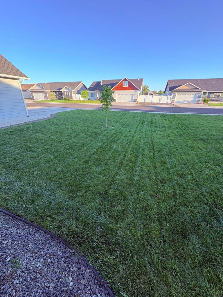 My average North Idaho lawn summary going into season 3.