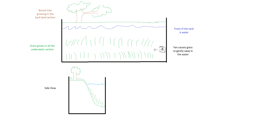 Is a paludarium like this possible. Is a paludarium like this possible.