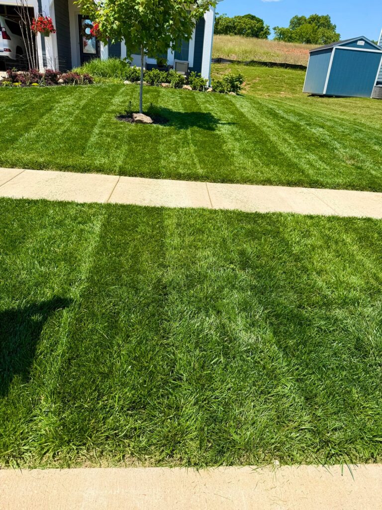 Results of my DIY PVC lawn striper Results of my DIY PVC lawn striper