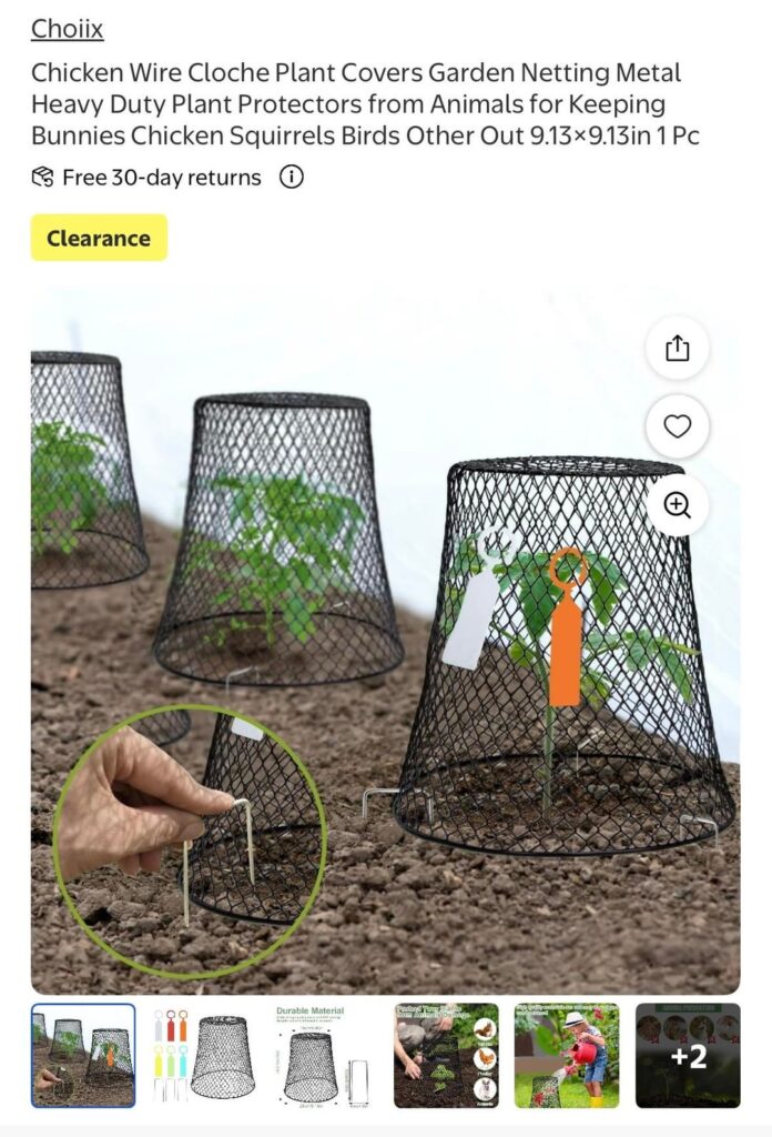 Seedling Protection