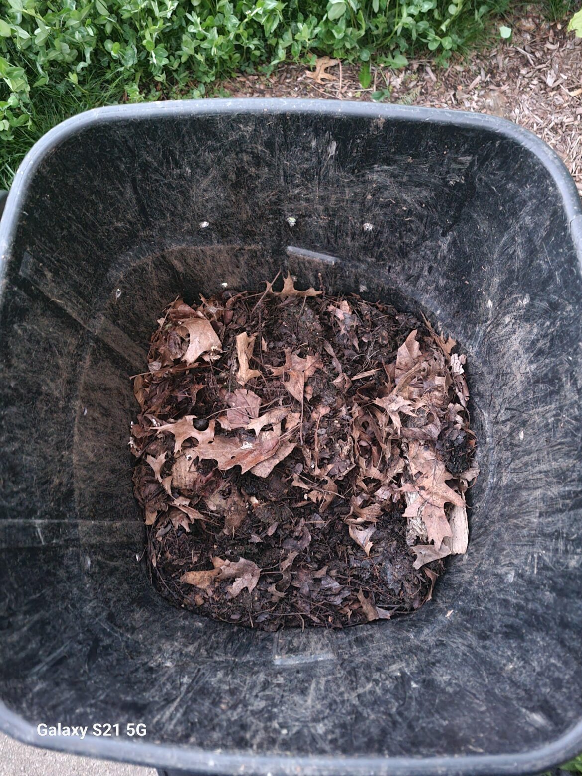 How’s my compost? How's my compost?