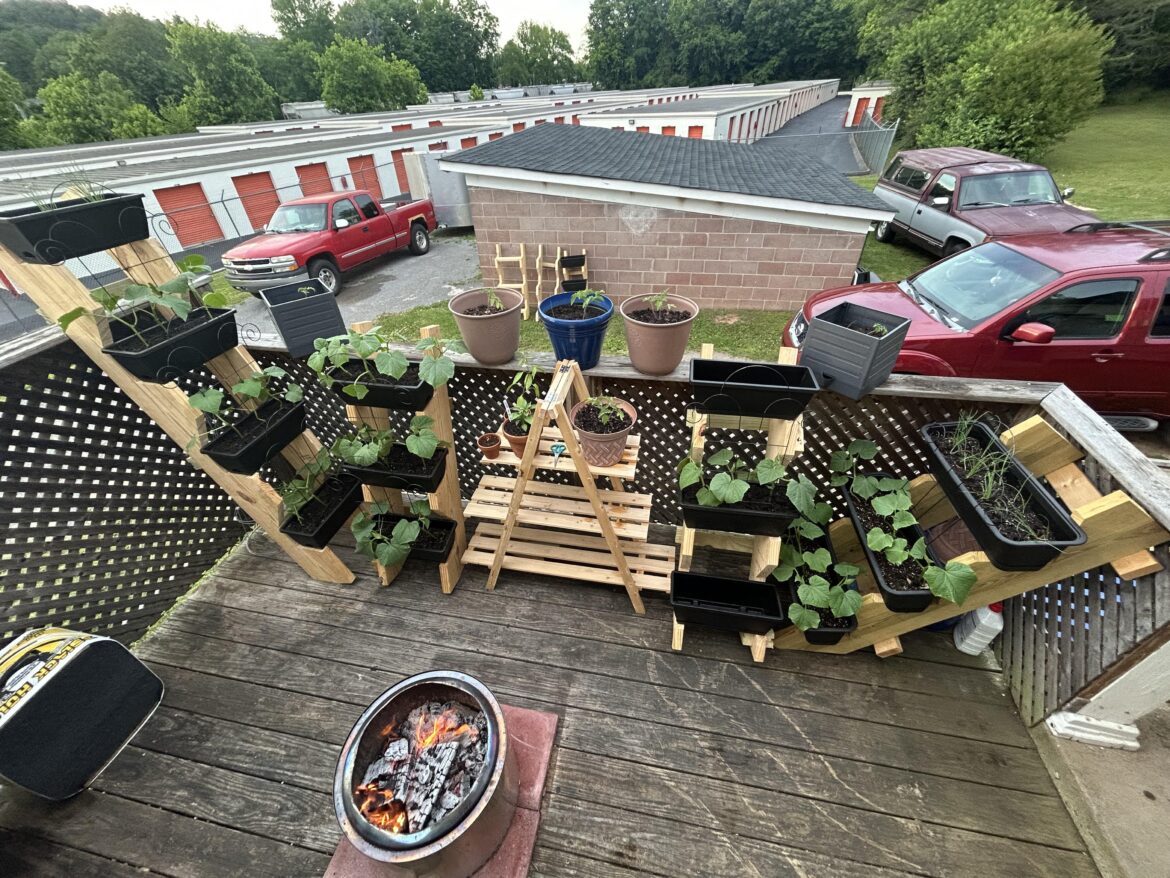 Rate my set up Rate my set up