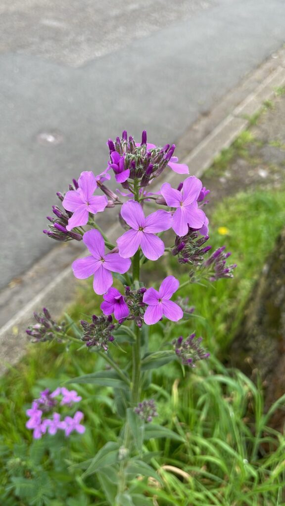Spotted on the street in Germany
