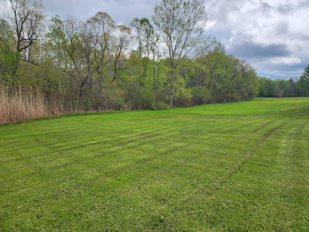 Lawn striping, am I doing this right?