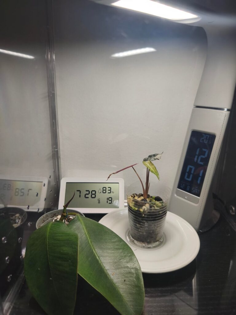 Upgrading her setup