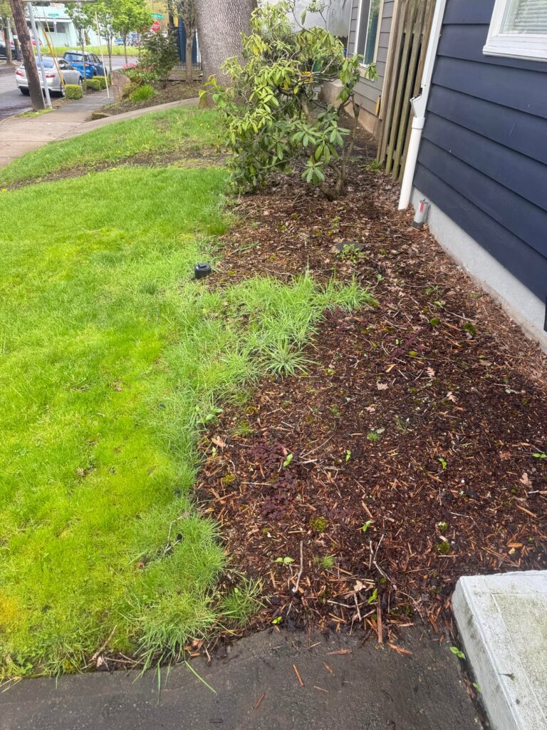 First little yard project in our new home