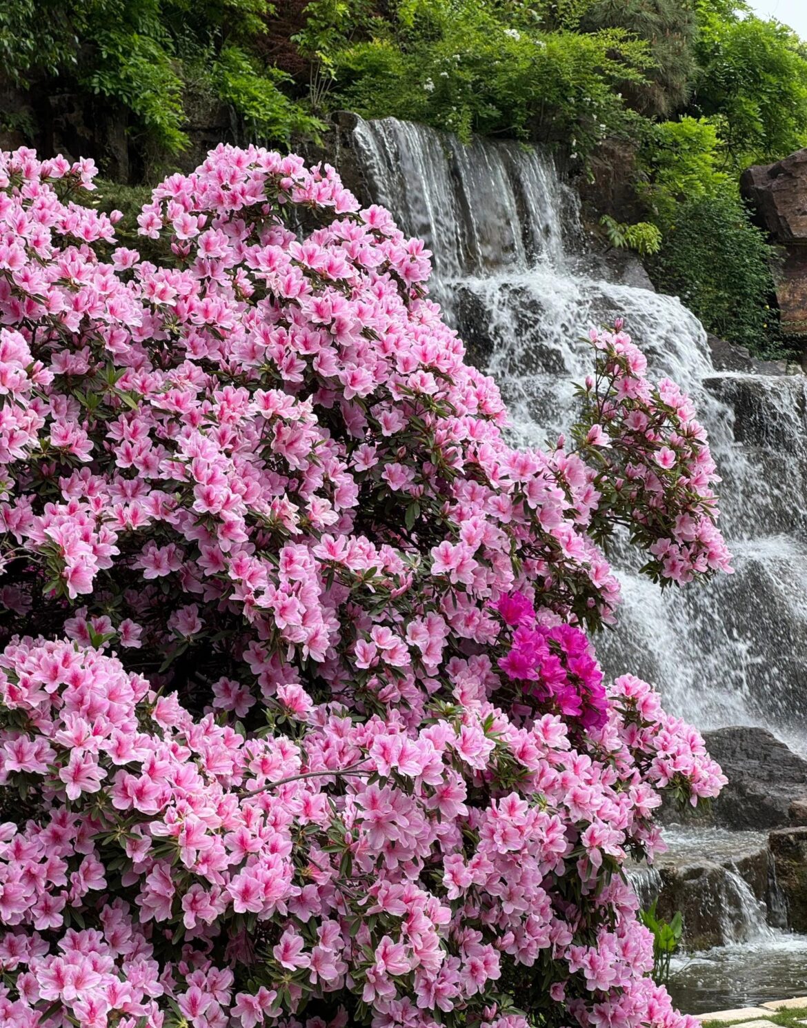 Beautiful scenery