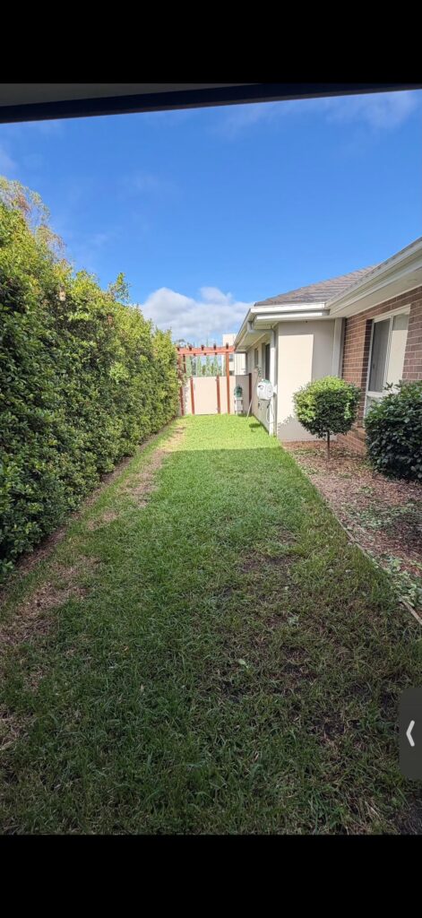 Buffalo Lawn help