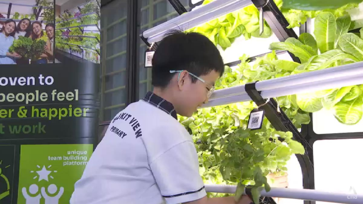 Micro gardens take root in Singapore as urban farming demand grows Micro gardens take root in Singapore as urban farming demand grows
