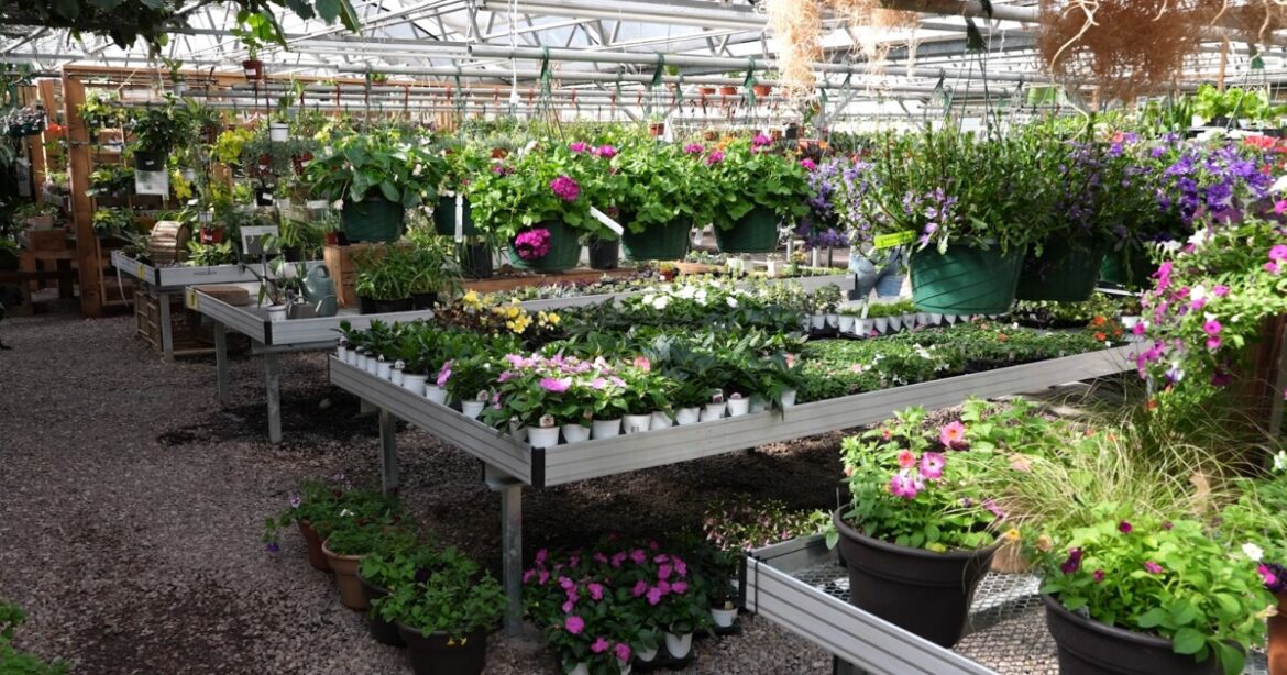 Finds Under $40 – Learning with Phelan Gardens Finds Under $40 - Learning with Phelan Gardens