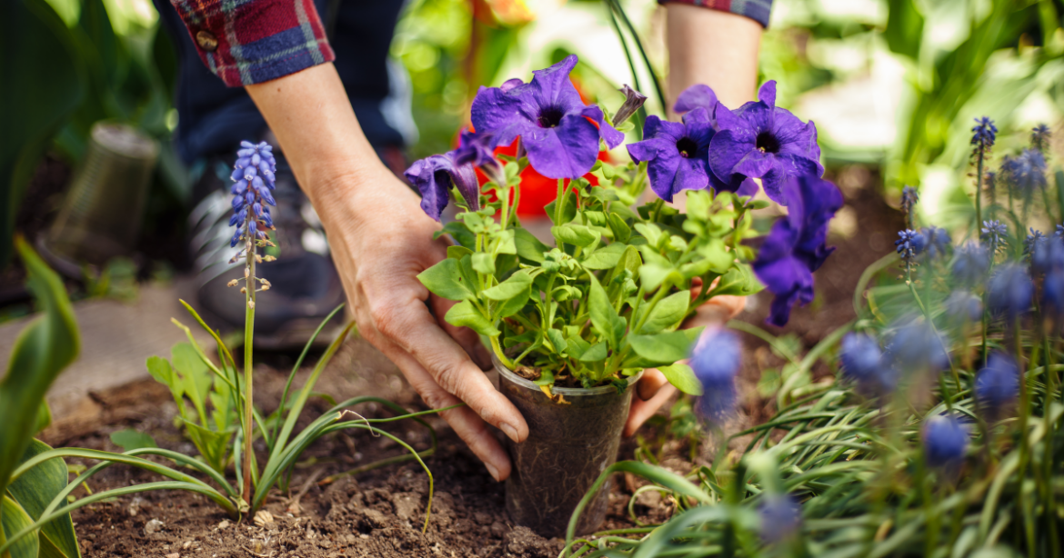 Spring gardening tips | WOSU Public Media Spring gardening tips | WOSU Public Media