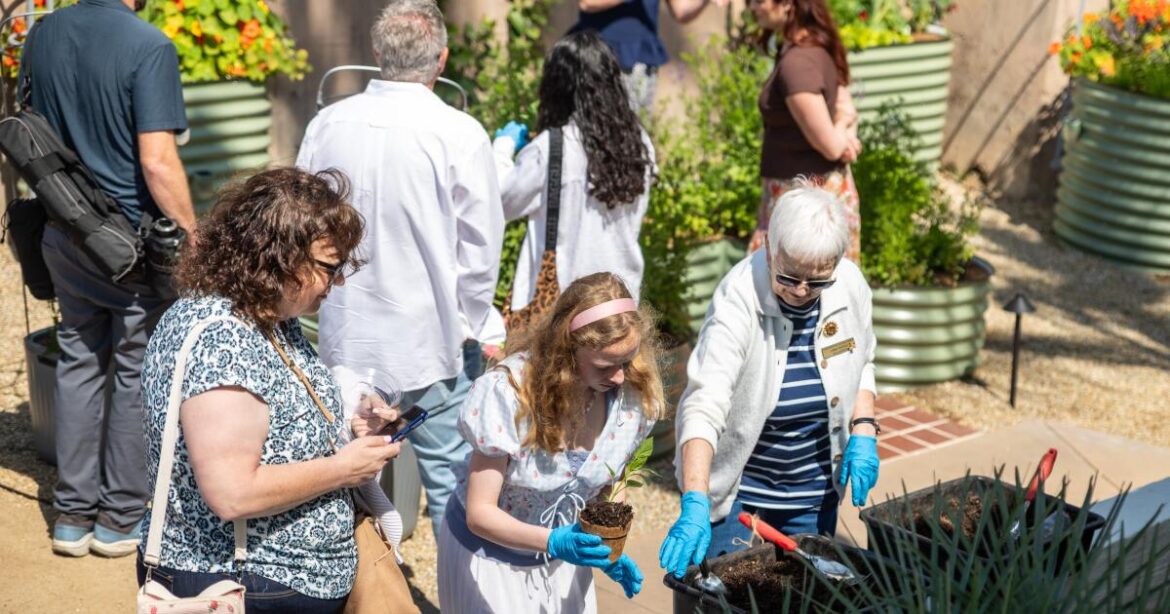 Casa Romantica's new edible garden is teaching opportunity for guests